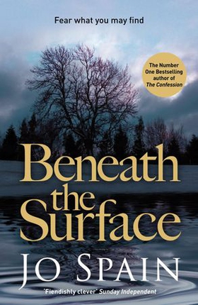 Beneath the Surface - A compelling crime mystery full of shock twists (An Inspector Tom Reynolds Mystery Book 2) (ebok) av Jo Spain