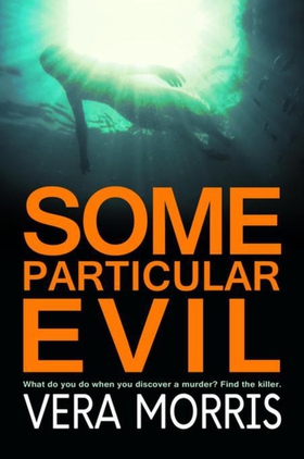 Some Particular Evil - The Anglian Detective Agency Series (ebok) av Vera Morris
