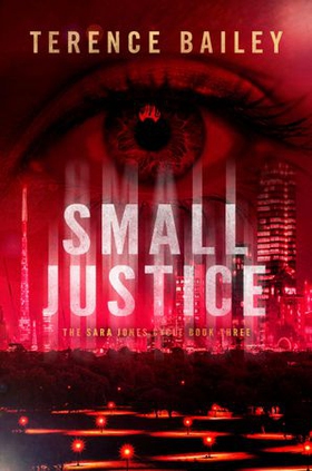 Small Justice