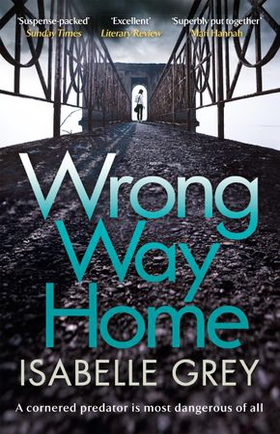 Wrong Way Home - A cold-case crime thriller you won't be able to put down (ebok) av Isabelle Grey