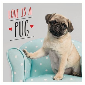 Love is a Pug - A Pugtastic Celebration of The World's Cutest Dogs (ebok) av Charlie Ellis