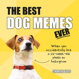 The Best Dog Memes Ever - The Funniest Relatable Memes as Told by Dogs (ebok) av Charlie Ellis