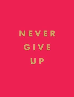 Never Give Up - Inspirational Quotes for Instant Motivation (ebok) av Summersdale Publishers