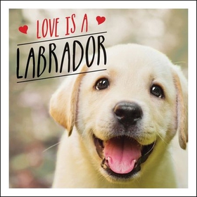 Love is a Labrador - A Lab-Tastic Celebration of the World's Favourite Dog (ebok) av Charlie Ellis