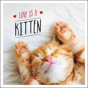 Love is a Kitten - A Cat-Tastic Celebration of the World's Cutest Kittens (ebok) av Charlie Ellis