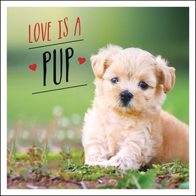 Love is a Pup - A Dog-Tastic Celebration of the World's Cutest Puppies (ebok) av Charlie Ellis