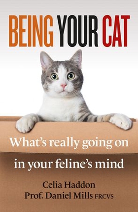 Being Your Cat - What's really going on in your feline's mind (ebok) av Celia Haddon