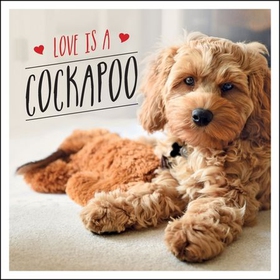 Love is a Cockapoo - A Dog-Tastic Celebration of the World's Cutest Breed (ebok) av Charlie Ellis