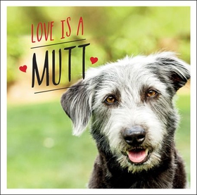 Love is a Mutt - A Dog-Tastic Celebration of the World's Cutest Mixed and Cross Breeds (ebok) av Charlie Ellis