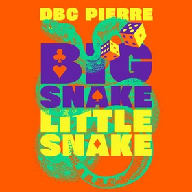 Big Snake Little Snake - An Inquiry into Risk (lydbok) av DBC Pierre