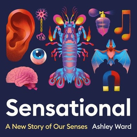 Sensational - A New Story of our Senses (lydbok) av Ashley Ward