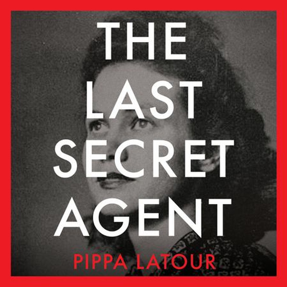 The Last Secret Agent