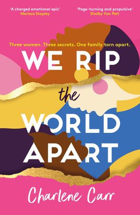We Rip the World Apart - A sweeping story about motherhood, race and secrets (ebok) av Charlene Carr