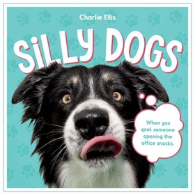 Silly Dogs - A Ridiculous Collection of the World's Goofiest Dogs and Most Relatable Memes (ebok) av Summersdale Publishers