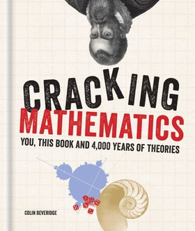 Cracking Mathematics - You, this book and 4,000 years of theories (ebok) av Colin Beveridge
