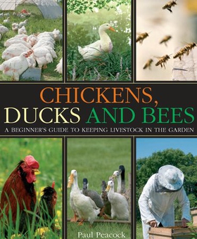 Chickens, Ducks and Bees - A beginner's guide to keeping livestock in the garden (ebok) av Paul Peacock