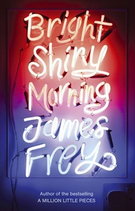 Bright Shiny Morning (ebok) av James Frey
