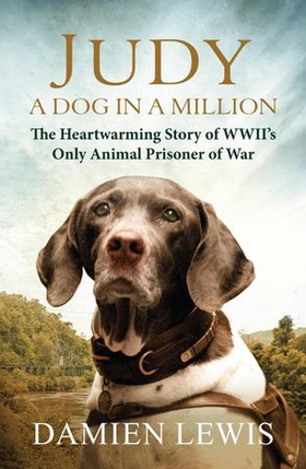 Judy: A Dog in a Million - From Runaway Puppy to the World's Most Heroic Dog (ebok) av Ukjent