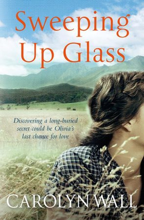 Sweeping Up Glass (ebok) av Carolyn Wall