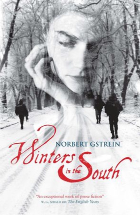 Winters in the South (ebok) av Norbert Gstrein