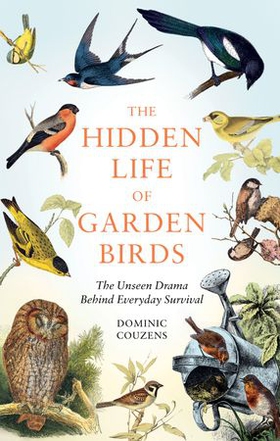 The Hidden Life of Garden Birds - The unseen drama behind everyday survival (ebok) av Dominic Couzens
