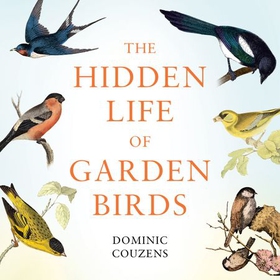 The Hidden Life of Garden Birds