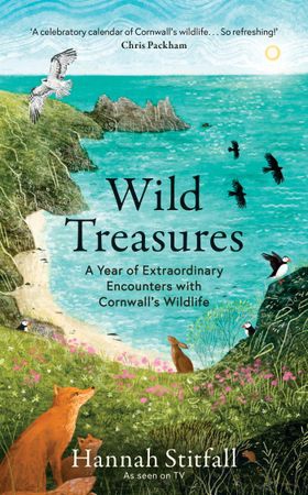 Wild Treasures - A Year of Extraordinary Encounters with Cornwall's Wildlife (ebok) av Hannah Stitfall