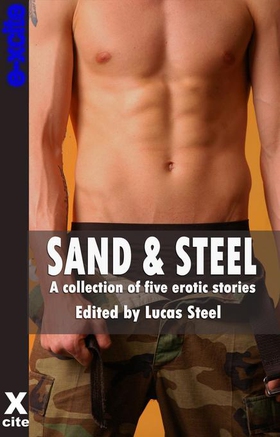 Sand and Steel - A collection of gay erotic stories (ebok) av Shanna Germain