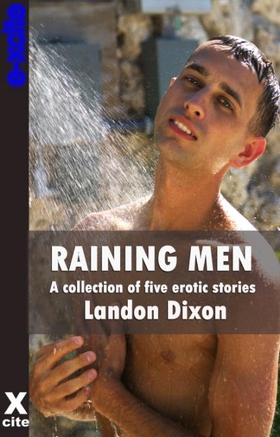 Raining Men - A collection of gay erotic stories (ebok) av Landon Dixon
