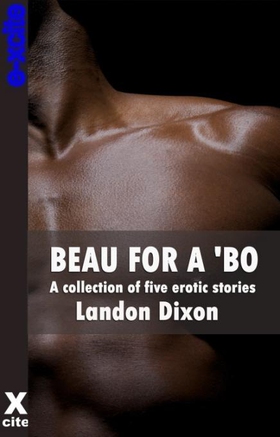Beau For A Bo - A collection of gay erotic stories (ebok) av Landon Dixon