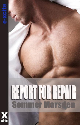 Report for Repair - Erotic Gay Fiction (ebok) av Sommer Marsden