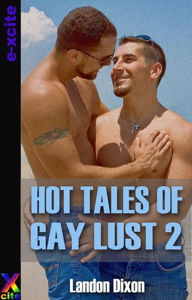 Hot Tales of Gay Lust Two - Gay erotic fiction (ebok) av Landon Dixon
