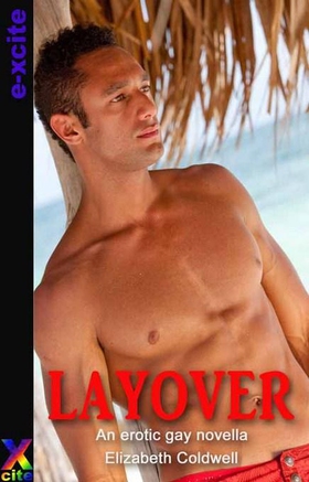 Layover - An erotic gay novella (ebok) av Elizabeth Coldwell
