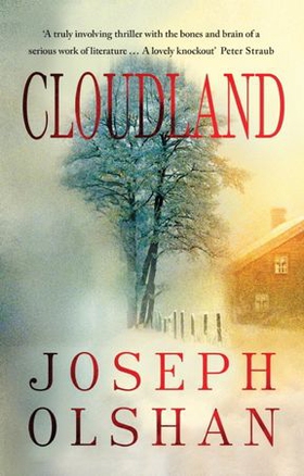 Cloudland (ebok) av Joseph Olshan