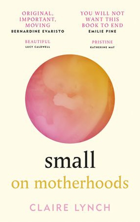 Small - On motherhoods (ebok) av Claire Lynch
