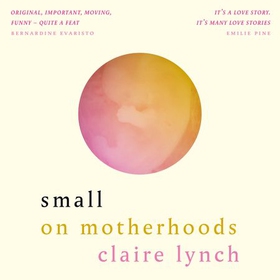 Small - On motherhoods (lydbok) av Claire Lynch