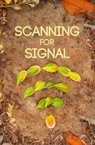 Scanning For Signal (e-bok) av Kaitlin Abendrot