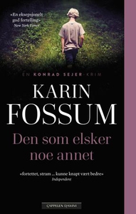 Den som elsker noe annet (ebok) av Karin Foss