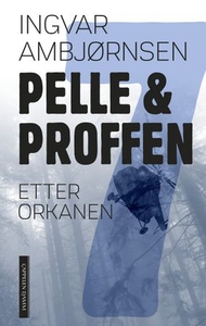 Etter orkanen (ebok) av Ingvar Ambjørnsen