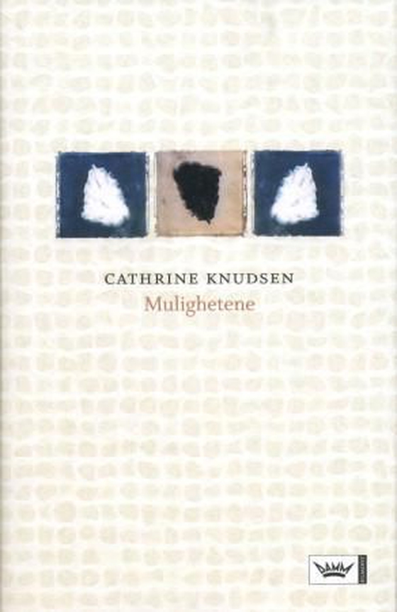 Mulighetene (ebok) av Cathrine Knudsen