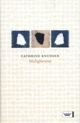 Mulighetene (ebok) av Cathrine Knudsen