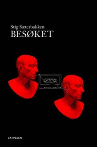 Besøket (ebok) av Stig Sæterbakken