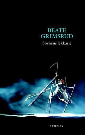 Søvnens lekkasje (ebok) av Beate Grimsrud