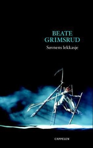Søvnens lekkasje (ebok) av Beate Grimsrud