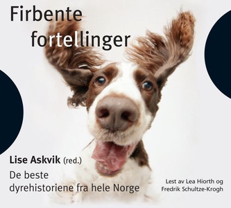 Firbente fortellinger (lydbok) av Lise Askvik