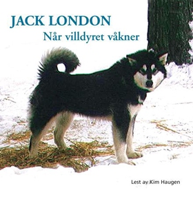 Når villdyret våkner (lydbok) av Jack London