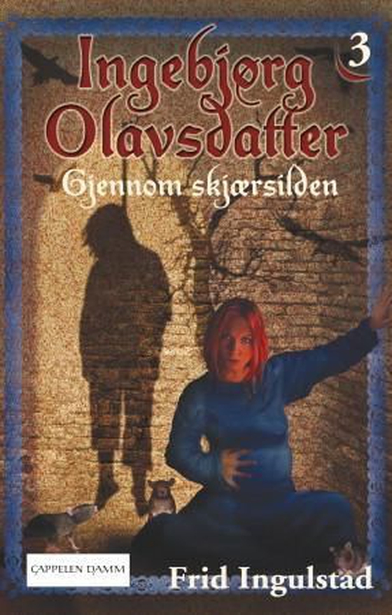 Gjennom skjærsilden