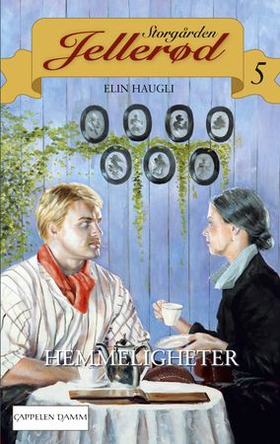 Hemmeligheter (ebok) av Elin Haugli