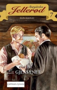 Gjensynet (ebok) av Elin Haugli
