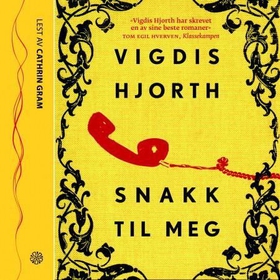 Snakk til meg (lydbok) av Vigdis Hjorth